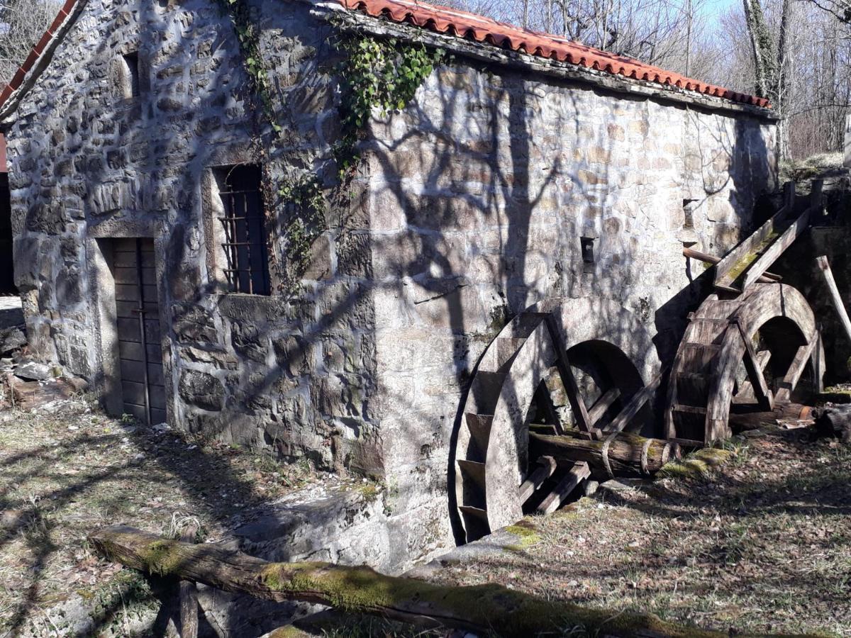Wine House Rakar Guest House Gračišče Exterior foto
