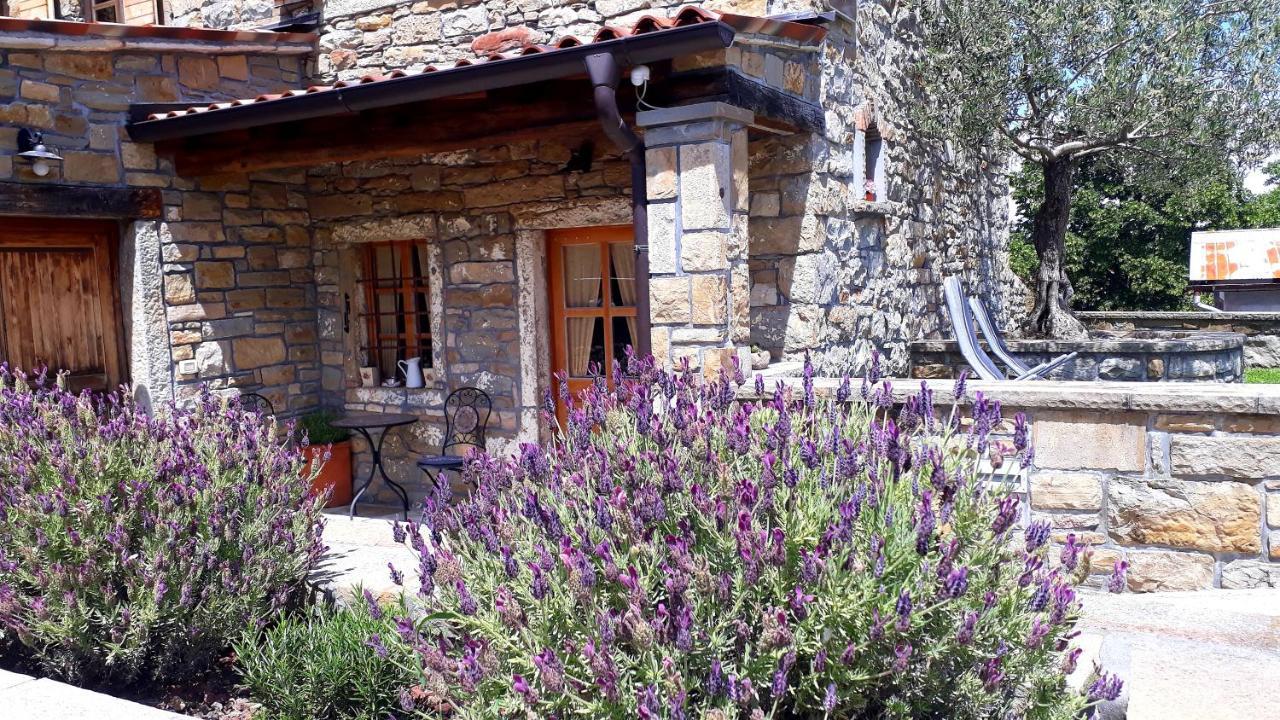 Wine House Rakar Guest House Gračišče Exterior foto